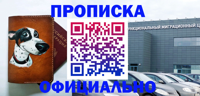 временная прописка в Партизанске